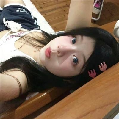 粉红火鹤
